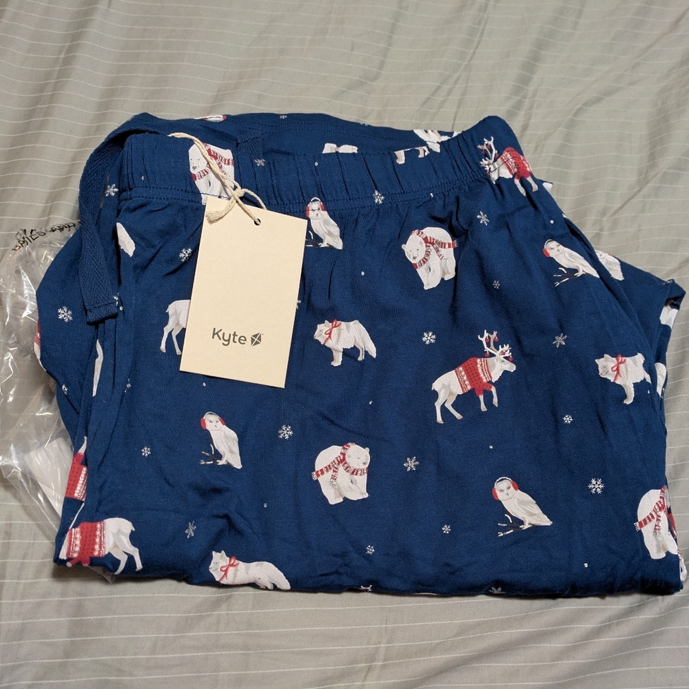 KYTE mens frosty friends pj pants XXL